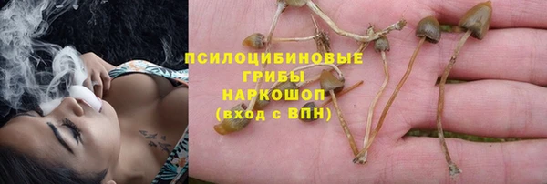кокс Ладушкин