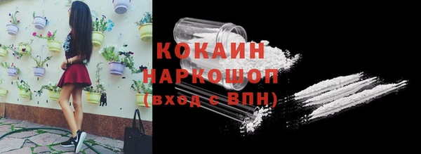 хмурый Козловка