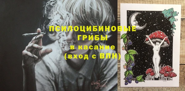 хмурый Козловка