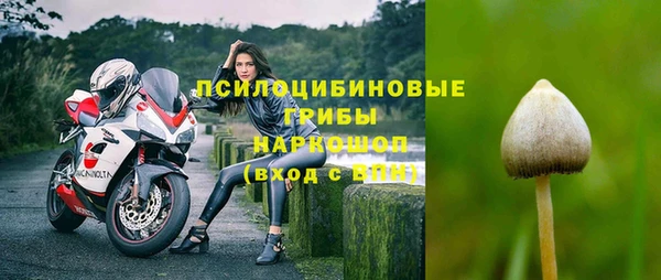 хмурый Козловка
