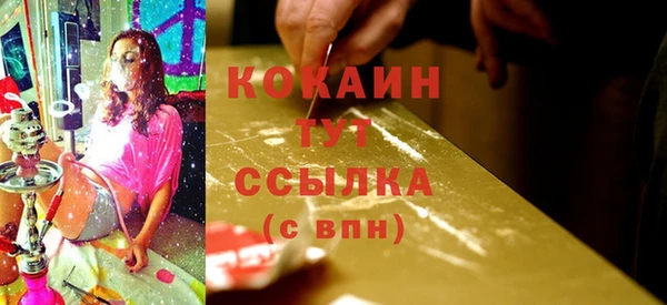 хмурый Козловка
