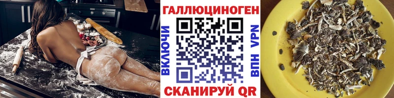 OMG вход  Кировград  Галлюциногенные грибы мухоморы 